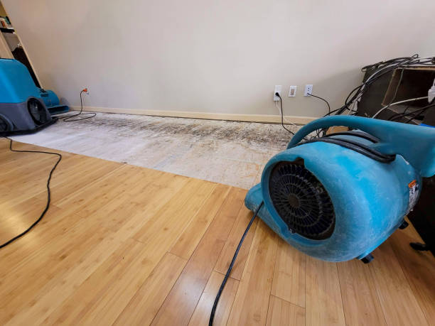Reliable Basement Flood Cleanup contractor in Asbury Park, NJ by Hirex Water Damage