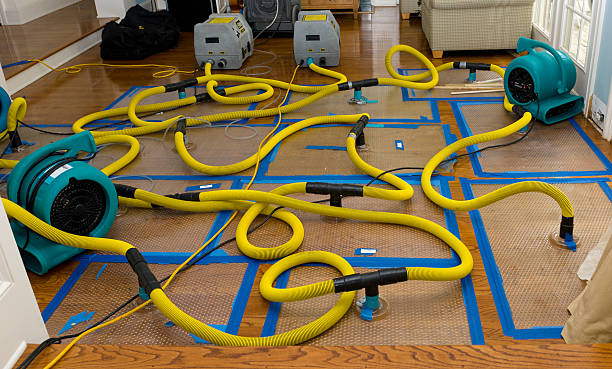 Professional Basement Flood Cleanup technician working in Asbury Park, NJ